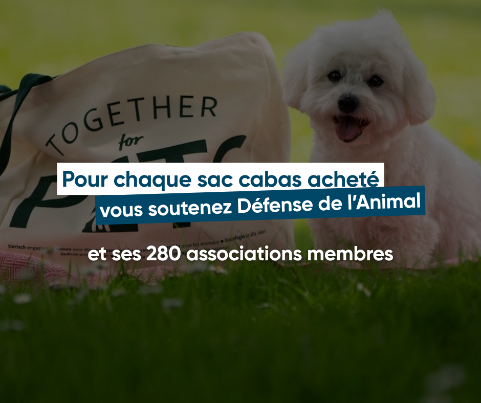 Pour chaque sac cabas acheté, vous soutenez Légumes & Cagettes Rebelles et ses 280 associations membres